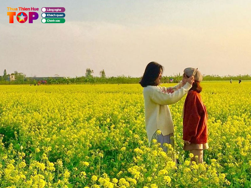 Canh-dong-hoa-cai-huetoplist