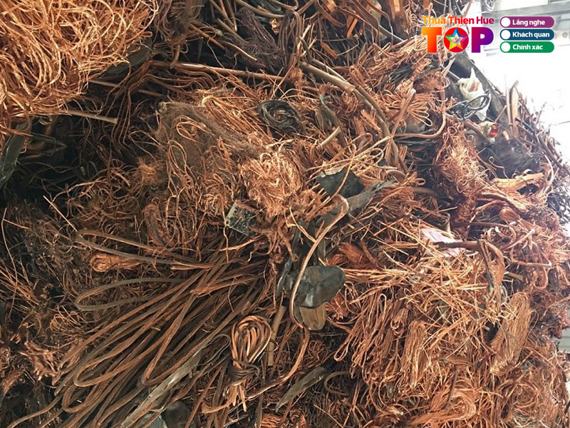 Hoang-ngoc-diep-don-vi-thu-mua-dong-phe-lieu-uy-tin-huetoplist